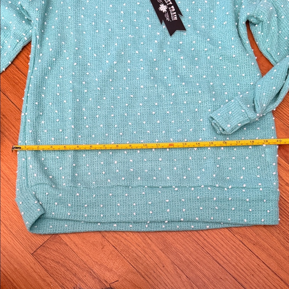 BNWT Women's Dally Darlin Teal Sweater by Crazy Train Medium - Picture 4 of 6